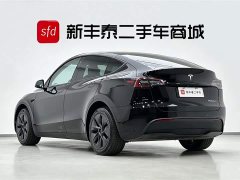 Tesla Model Y 2023 long-range all-wheel drive version - фото 6