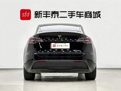 Tesla Model Y 2023 long-range all-wheel drive version - фото 7