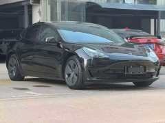 Tesla Model 3 Standard Range Rear Drive Upgraded Version - фото 3