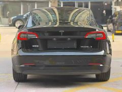 Tesla Model 3 Standard Range Rear Drive Upgraded Version - фото 4