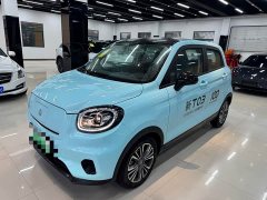 Leapmotor T03 403 Edition - фото 1