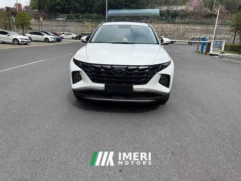 2024 2023 Model L 1.5T 2WDGLX Edition - автомобиль из Китая