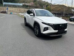 Tucson L 1.5T 2WDGLX Edition - фото 3