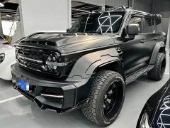 Tank 300 Off-Road Version 2.0T Conqueror - фото 1
