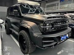 Tank 300 Off-Road Version 2.0T Conqueror - фото 3