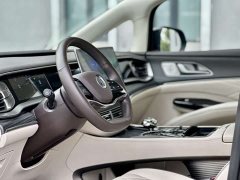 Denza D9 DM-i 980 four-wheel drive flagship - фото 5