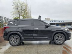 Seltos 2023 1.5L CVT Luxury Edition - фото 7