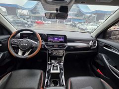 Seltos 2023 1.5L CVT Luxury Edition - фото 9