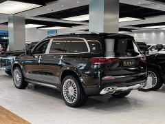 Mercedes-Benz Mercedes-Maybach GLS 450 - фото 3