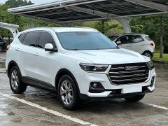 Haval H6 2021 Guochao Edition 1.5T Automatic Champion Edition - фото 2