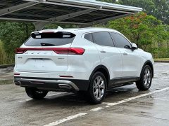 Haval H6 2021 Guochao Edition 1.5T Automatic Champion Edition - фото 5