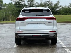 Haval H6 2021 Guochao Edition 1.5T Automatic Champion Edition - фото 6