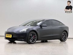 Tesla Model 3 2022 Performance high-performance all-wheel drive version - фото 1