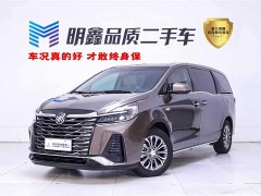 Buick GL8 Facelift Land Business Class Luxury Edition - фото 1