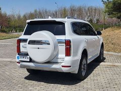 Tank 500 3.0T sports version, environment type, 5 seats - фото 15