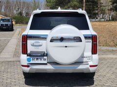 Tank 500 3.0T sports version, environment type, 5 seats - фото 16