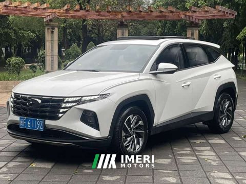2021 Model L 1.5T DCT GLX Edition - автомобиль из Китая