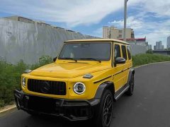 Mercedes-Benz G-Class G 500 - фото 1