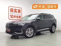 Tank Envision Plus 2021 Envision Plus 652T five-seat four-wheel drive luxury - фото 1