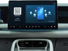 Honda Hiace 06 EV 605 Pilot Plus Edition - фото 7