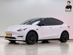 Tesla Model Y 2022 Performance high-performance all-wheel drive version - фото 1