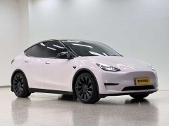Tesla Model Y 2022 Performance high-performance all-wheel drive version - фото 3