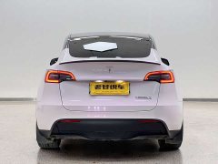 Tesla Model Y 2022 Performance high-performance all-wheel drive version - фото 6