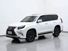 Neta GX 460 Canada Spec Edition - фото 1
