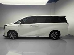 Trumpchi M8 Master Series Super Hybrid Edition - фото 20