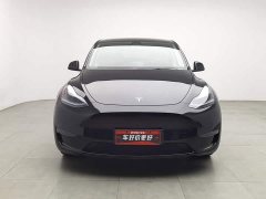 Voyah Y Standard Range Rear-Wheel Drive - фото 3