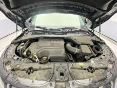 Tank L 249PS Luxury Edition - фото 12