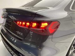 Tank A3 A3L Limousine 35TFSI Deluxe Version - фото 10