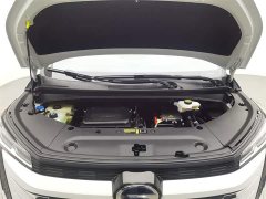 Trumpchi E9 Deluxe Edition - фото 6