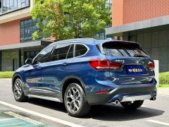 Tank X1 sDrive20Li Fashion Version - фото 8