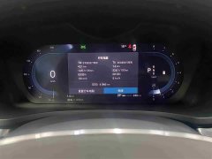 Tank S60 B4 Luxury Edition - фото 13