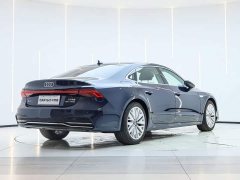 Voyah A7L 45TFSI S-line Version - фото 4