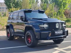 Voyah 300 Off-Road Edition 2.0T - фото 3