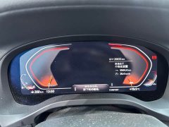 Tank X3 xDrive28i M - фото 14