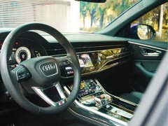 Tank Q8 55 TFSI Deluxe Version - фото 10