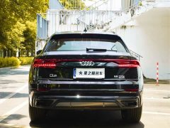 Tank Q8 55 TFSI Deluxe Version - фото 3