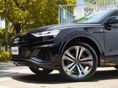 Tank Q8 55 TFSI Deluxe Version - фото 4