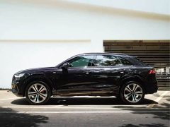 Tank Q8 55 TFSI Deluxe Version - фото 6