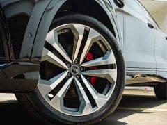 Tank Q8 55 TFSI Deluxe Version - фото 9