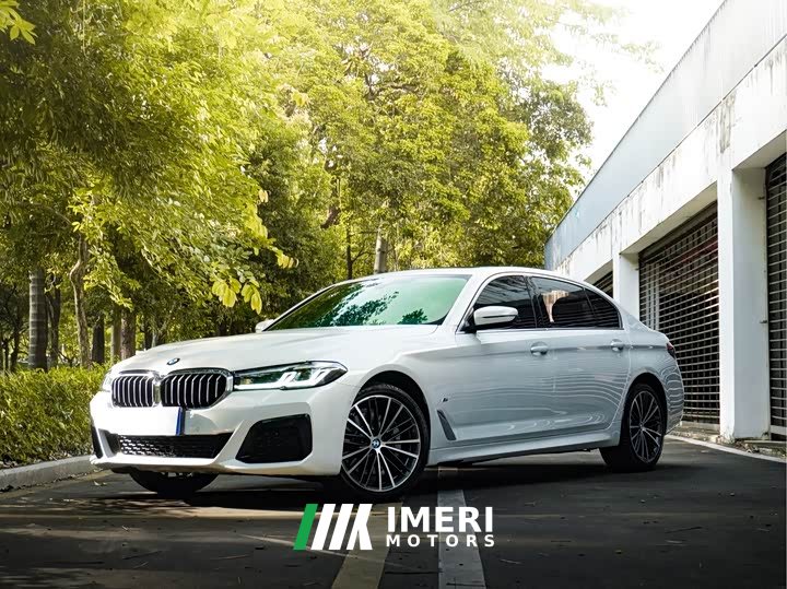 Voyah 5 530Li Version M - автомобиль из Китая