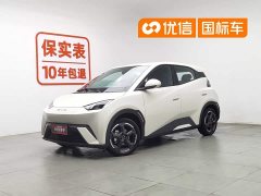 BYD Seagull Free Edition - фото 1