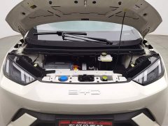 BYD Seagull Free Edition - фото 6