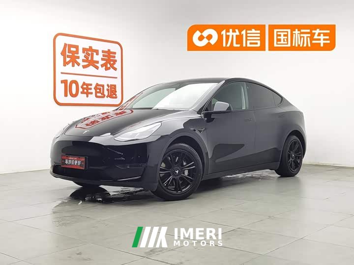 Tesla Model Y standard range rear-wheel drive version - автомобиль из Китая