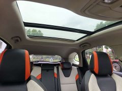 Haval Red Rabbit Engine Edition 1.5T Golden Rabbit - фото 18