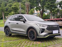 Haval Red Rabbit Engine Edition 1.5T Golden Rabbit - фото 3