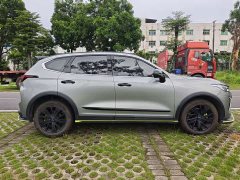 Haval Red Rabbit Engine Edition 1.5T Golden Rabbit - фото 4